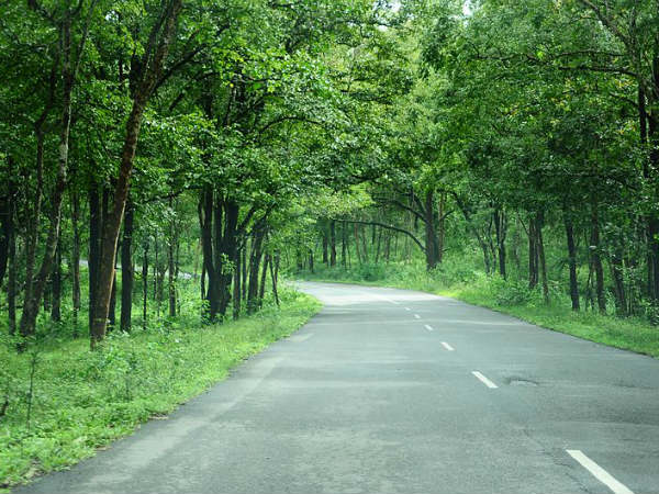 ബന്ദിപ്പൂരിലേക്ക്