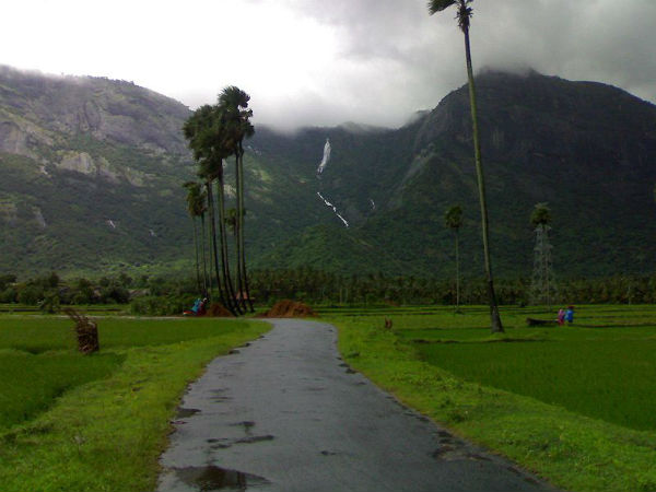 നെല്ലിയാമ്പതിയിൽ