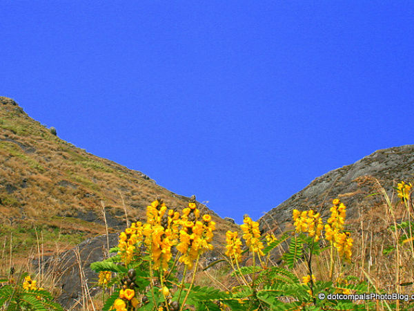 കേരളത്തിന്റെ ഊട്ടി