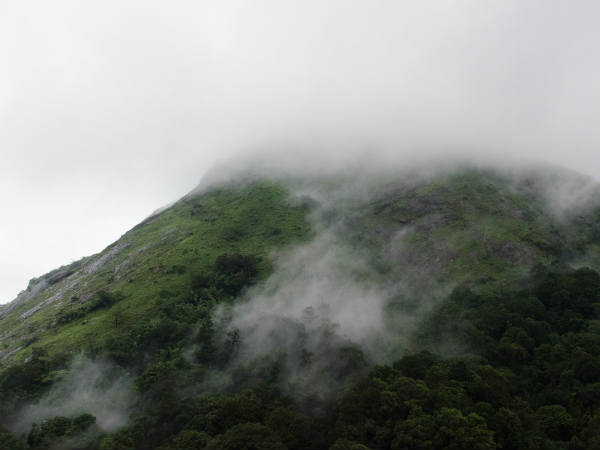 കോടമഞ്ഞിന്റെ സൗന്ദര്യം
