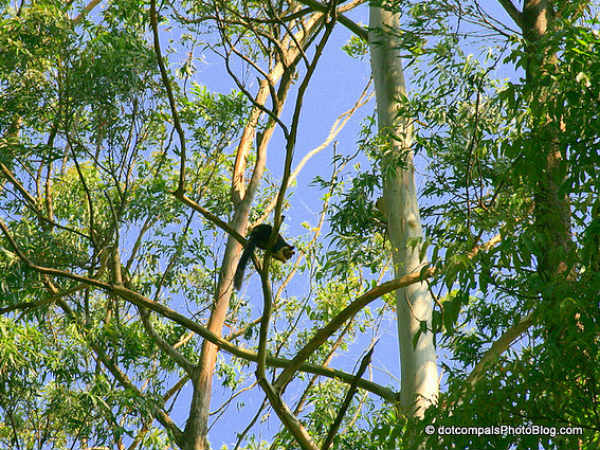 ജൈവ വൈവിധ്യങ്ങൾ