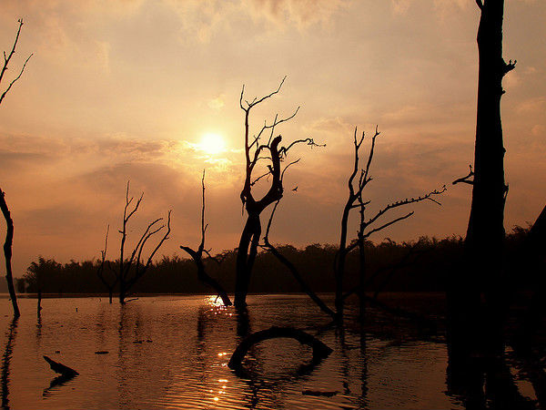 യാത്രയ്ക്ക് ഒരുങ്ങാം