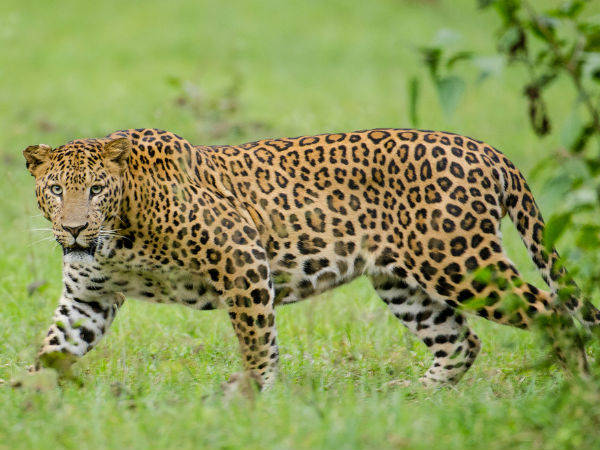 കബനിയേക്കുറിച്ച് കൂടുതൽ