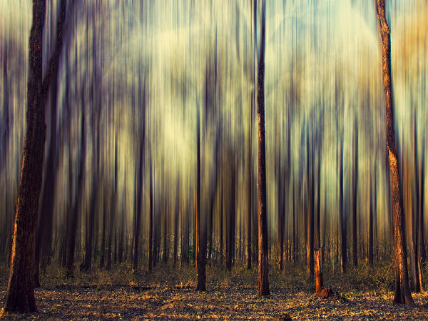 യാത്രകൾ ബാംഗ്ലൂരിൽ നിന്ന്