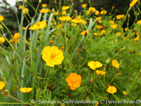 കൂടുതൽ കാഴ്ചകൾ 4