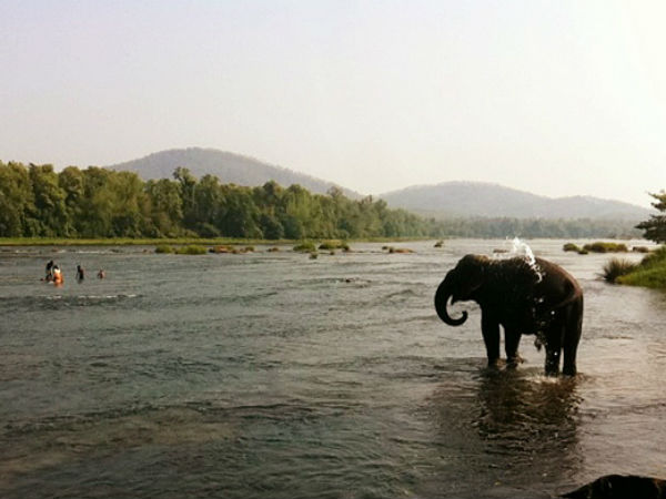 ആനക്കുളി