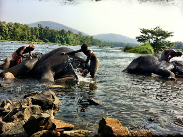 തേച്ചുകുളി