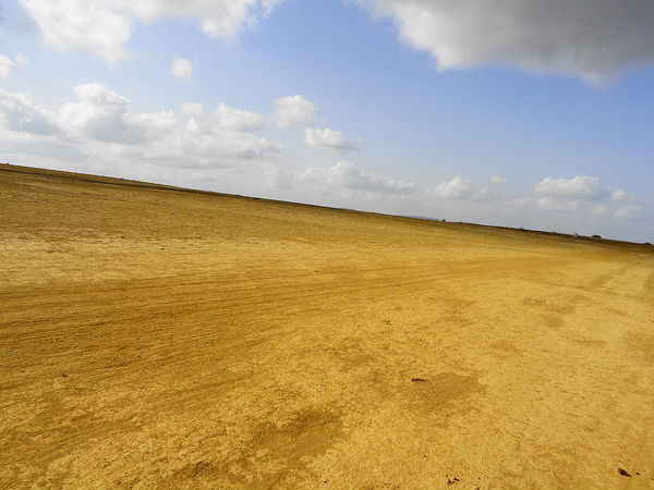 തിരികെ യാത്ര