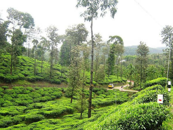 കോട്ടയത്തിനടുത്ത്