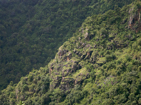 നീലഗിരിയിലെ ട്രെക്കിംഗ് പാതകള്‍