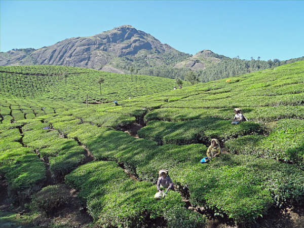 17. ദേവികുളം