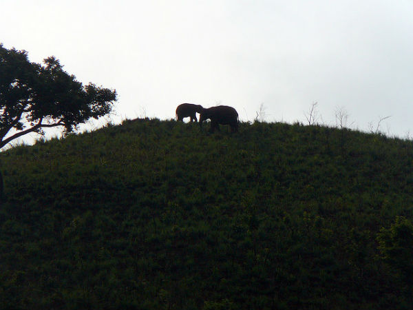 വന്യജീവി സംരക്ഷണ കേന്ദ്രം