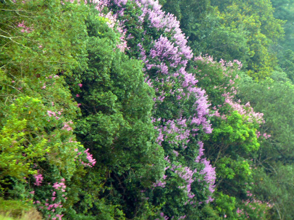 കാലവസ്ഥ
