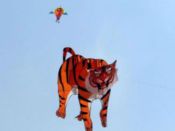 കൈറ്റ് ഫെസ്റ്റിവൽ ചിത്രങ്ങൾ