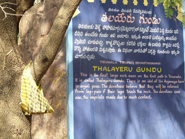 തലയുരു ഗുണ്ടു