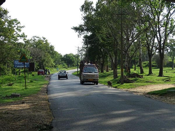 04. ബന്ദിപ്പൂര്‍ വനത്തിലൂടെ ഒരു ഡ്രൈവിംഗ്