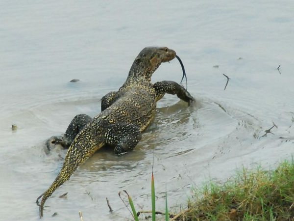 യാത്രയിൽ വ്യത്യസ്ത കൊതിക്കുന്നവർക്ക് പശ്ചിമബംഗാൾ