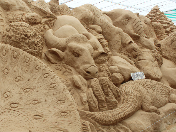 വന്യജീവികള്‍