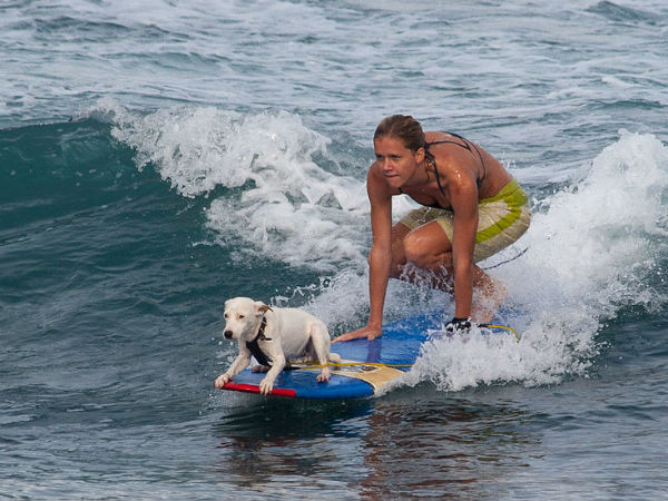 സര്‍ഫിംഗ്