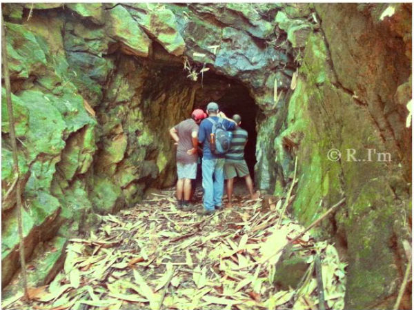 പൂയംകുട്ടി യാത്രയിലെ ചിത്രങ്ങളിലൂടെ