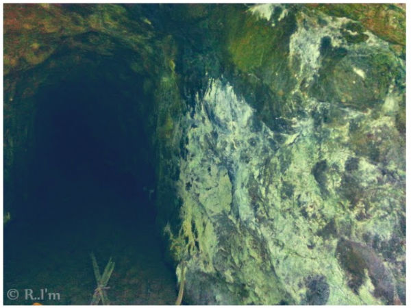 പൂയംകുട്ടി യാത്രയിലെ ചിത്രങ്ങളിലൂടെ