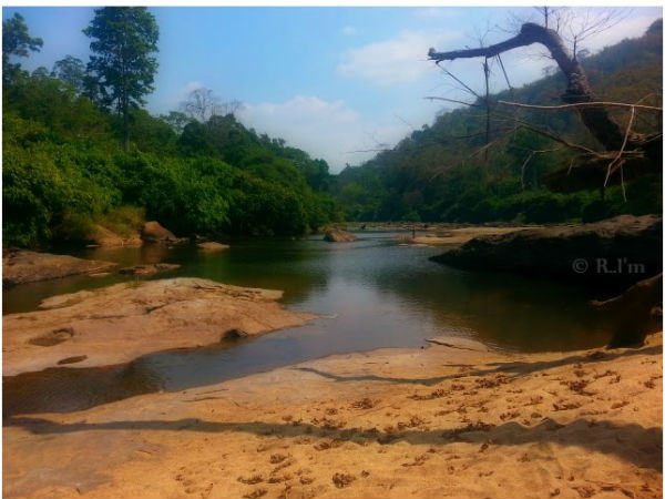 പൂയംകുട്ടി യാത്രയിലെ ചിത്രങ്ങളിലൂടെ