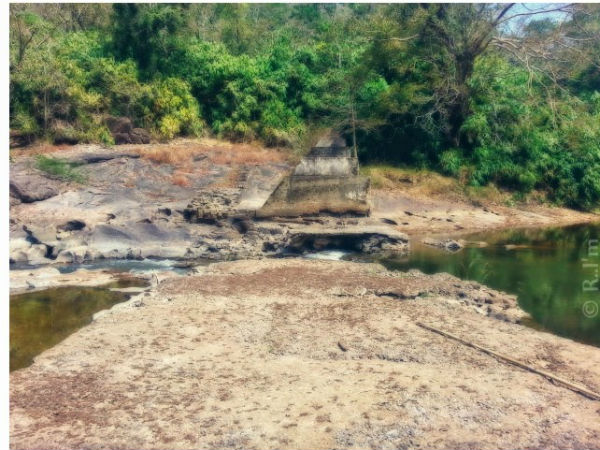 പൂയംകുട്ടി യാത്രയിലെ ചിത്രങ്ങളിലൂടെ