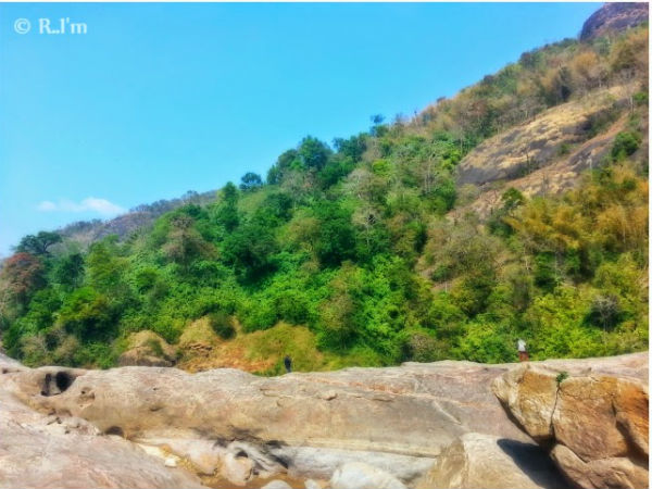 പൂയംകുട്ടി യാത്രയിലെ ചിത്രങ്ങളിലൂടെ