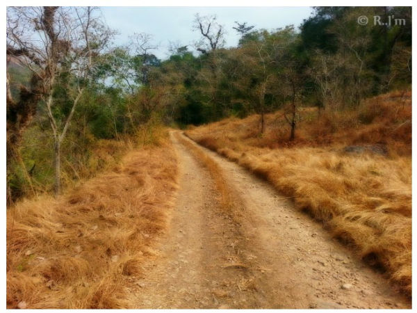 പൂയംകുട്ടി യാത്രയിലെ ചിത്രങ്ങളിലൂടെ