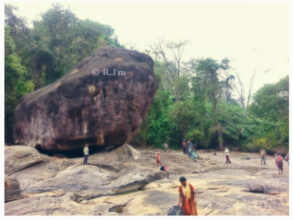 പൂയംകുട്ടി യാത്രയിലെ ചിത്രങ്ങളിലൂടെ