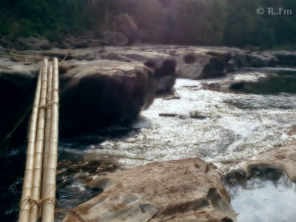 പൂയംകുട്ടി യാത്രയിലെ ചിത്രങ്ങളിലൂടെ