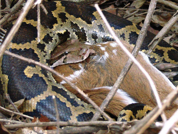 10. അപൂര്‍വ കാഴ്ചകള്‍