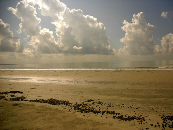 04. വിതീര്‍ണം