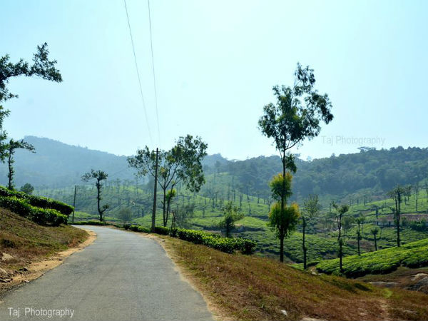 കാഴ്ചകള്‍ കണ്ട് നെല്ലിയാമ്പതിയിലേക്ക്