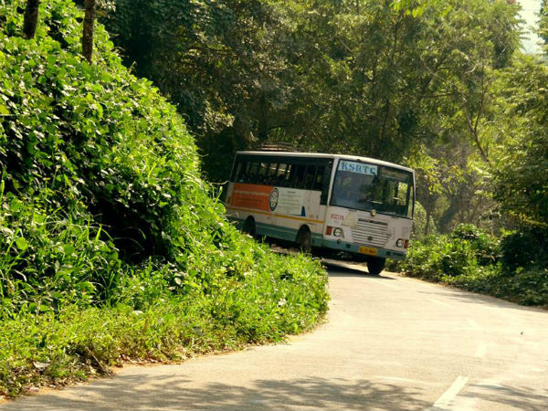 കാഴ്ചകള്‍ കണ്ട് നെല്ലിയാമ്പതിയിലേക്ക്