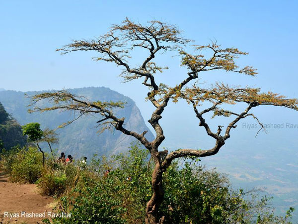 കാഴ്ചകള്‍ കണ്ട് നെല്ലിയാമ്പതിയിലേക്ക്