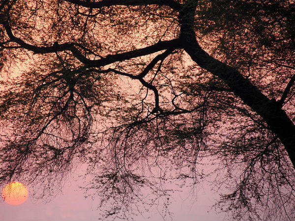 സെമിനാരി ഹില്‍സ്