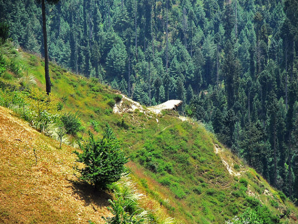 വന്യജീവി സങ്കേതം