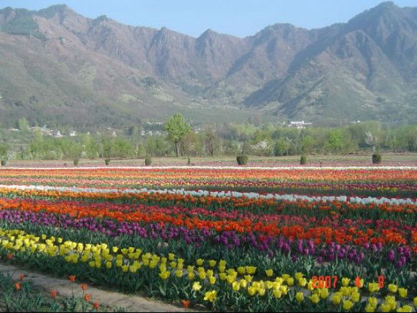 പുഷ്‌പോല്‍സവം