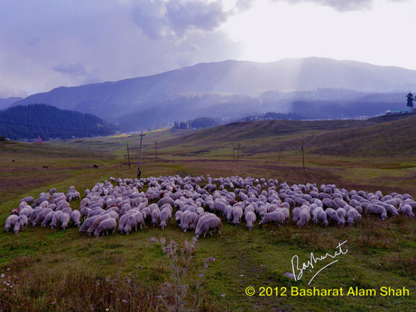 ഗു‌ൽമാർഗ്