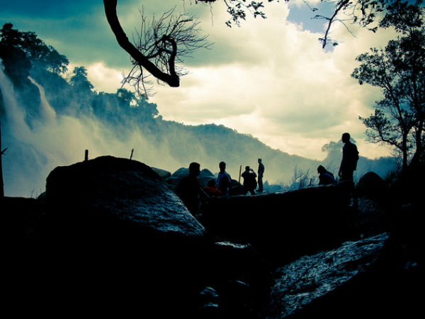 മരങ്ങള്‍ക്കിടയി‌ല്‍