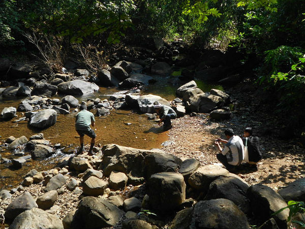 14. കണ്ണവം
