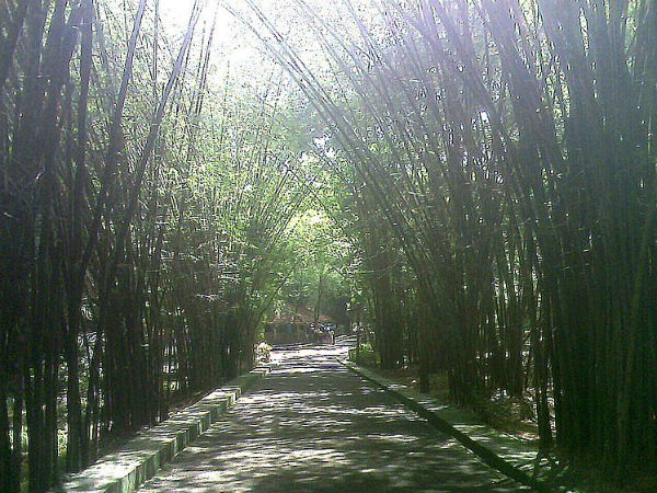 22. നിലമ്പൂര്‍