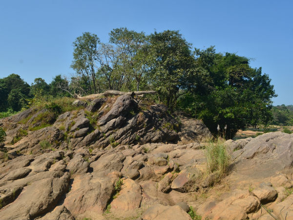 കൂടുതല്‍ ചിത്രങ്ങള്‍