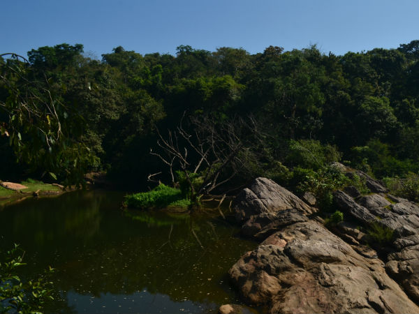 കൂടുതല്‍ ചിത്രങ്ങള്‍