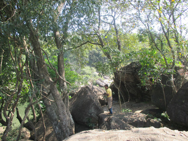 കൂടുതല്‍ ചിത്രങ്ങള്‍