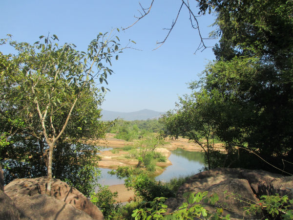 തൃക്കാരിയൂര്‍ മഹാദേവന്‍