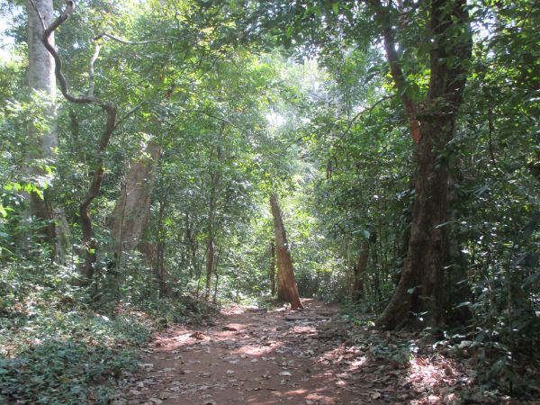 കോഴിയായ ശിവന്‍