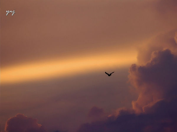 മേഘങ്ങള്‍ക്ക് അപ്പുറം