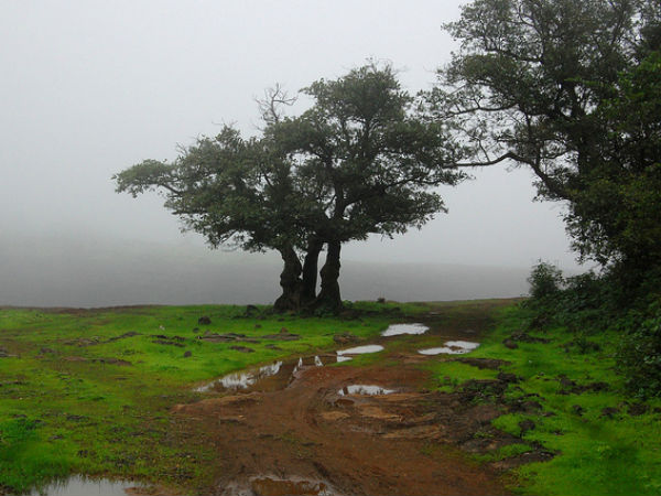 03. ലോണാവ്‌ള, 88 കി മീ